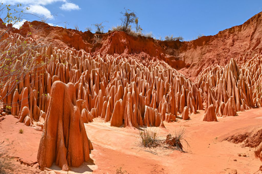 DISCOVER THE NORTH OF MADAGASCAR’ TREASURES